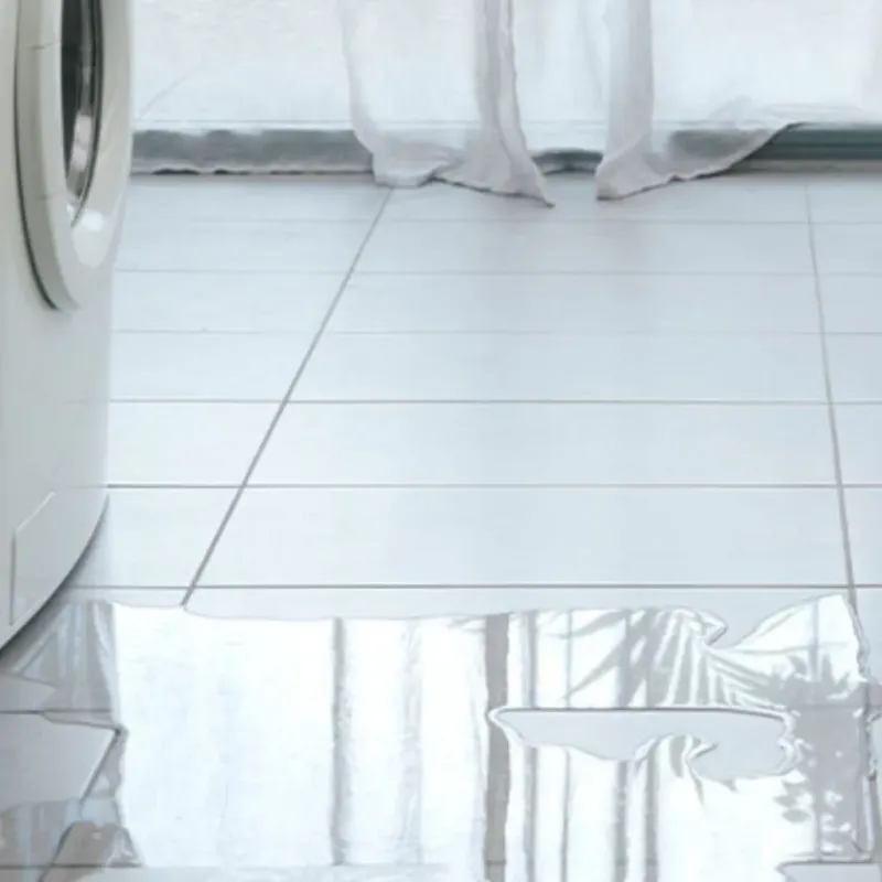 Appliance Leak Cleanup in Bonneau Beach, SC