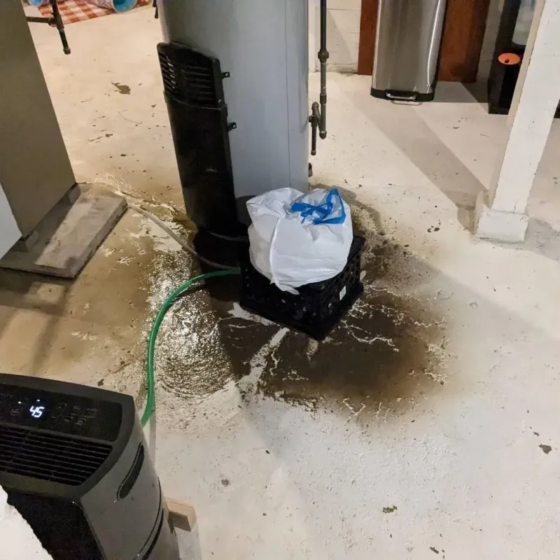 Sewage Backup Cleanup Service in Bonneau Beach, SC